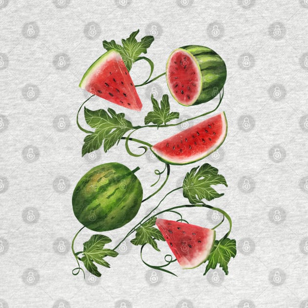 Watermelon and Vines by catherold